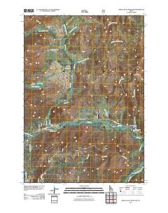 Bear Valley Mountain 2011 topographic map thumbnail
