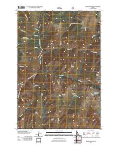 Dennis Mountain 2011 topographic map thumbnail