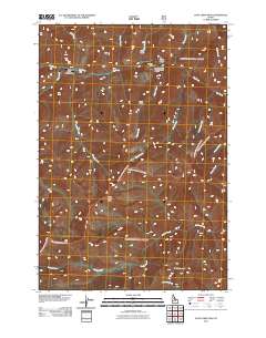 Dave Lewis Peak 2011 topographic map thumbnail