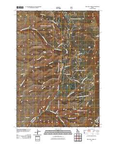 King Hill Creek 2011 topographic map thumbnail