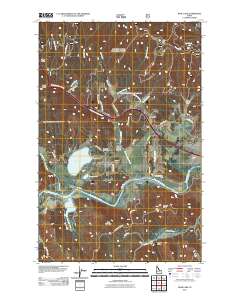 Rose Lake 2011 topographic map thumbnail
