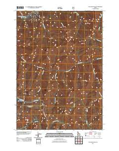 Tyee Mountain 2011 topographic map thumbnail
