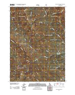 Tincup Mountain 2011 topographic map thumbnail