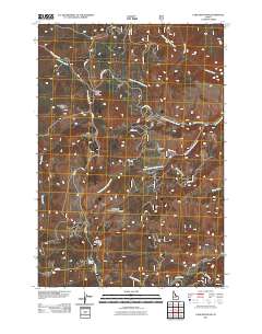 Lake Mountain 2011 topographic map thumbnail