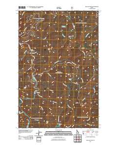 Red Ives Peak 2011 topographic map thumbnail