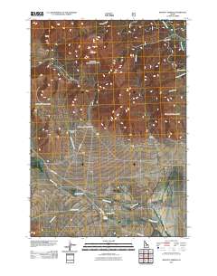 Moffett Springs 2011 topographic map thumbnail