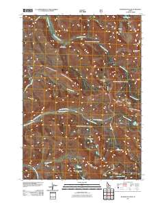 Washington Peak 2011 topographic map thumbnail