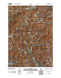 Trinity Mountain 2011 topographic map thumbnail