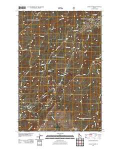 Snowy Summit 2011 topographic map thumbnail