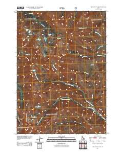 Smiley Mountain 2011 topographic map thumbnail