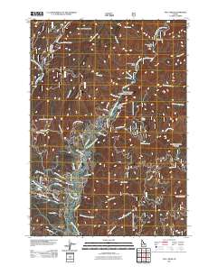 Pyle Creek 2011 topographic map thumbnail