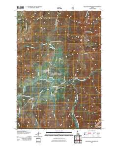 Blue Bunch Mountain 2011 topographic map thumbnail