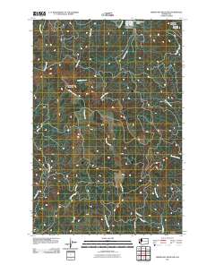 Abernathy Mountain 2011 topographic map thumbnail
