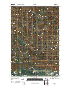 Ashford 2011 topographic map thumbnail
