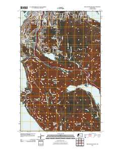 Bellingham South 2011 topographic map thumbnail