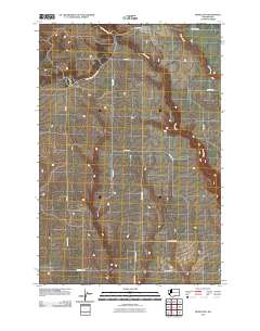 Bickleton 2011 topographic map thumbnail