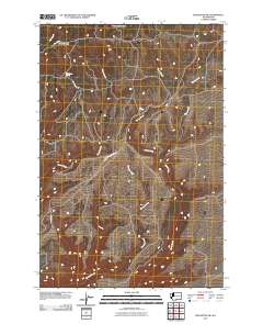 Bickleton NW 2011 topographic map thumbnail