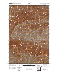 Black Rock Spring NE 2011 topographic map thumbnail