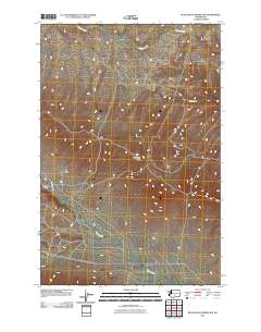 Black Rock Spring NW 2011 topographic map thumbnail