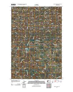 Blaney Creek 2011 topographic map thumbnail
