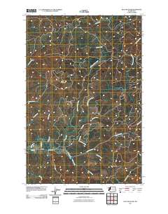 Blue Mountain 2011 topographic map thumbnail