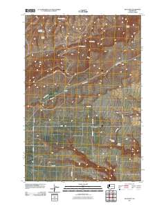 Bluelight 2011 topographic map thumbnail
