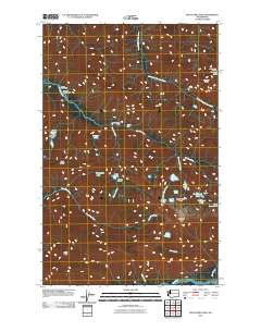 Bogachiel Peak 2011 topographic map thumbnail