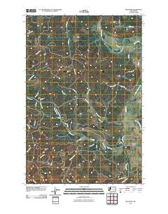 Boistfort 2011 topographic map thumbnail