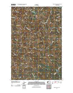 Boistfort Peak 2011 topographic map thumbnail