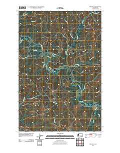 Brooklyn 2011 topographic map thumbnail