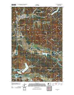 Bucoda 2011 topographic map thumbnail