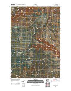Camas Patch 2011 topographic map thumbnail