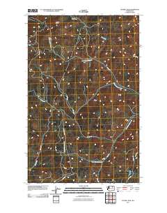 Central Peak 2011 topographic map thumbnail
