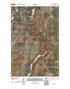 Chapman Lake 2011 topographic map thumbnail