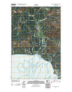 Copalis Crossing 2011 topographic map thumbnail