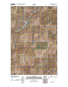Cormana Lake 2011 topographic map thumbnail