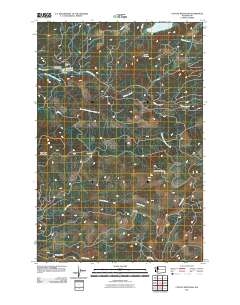 Coyote Mountain 2011 topographic map thumbnail