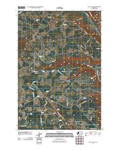 Dead Canyon 2011 topographic map thumbnail