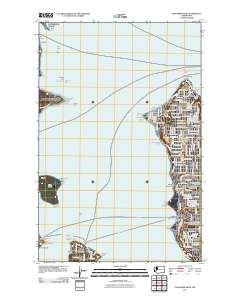 Duwamish Head 2011 topographic map thumbnail