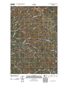 East of Raymond 2011 topographic map thumbnail