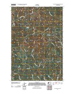 Elochoman Lake 2011 topographic map thumbnail