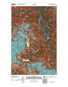 Forbidden Peak 2011 topographic map thumbnail
