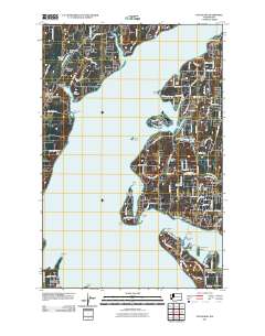 Fox Island 2011 topographic map thumbnail