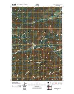 Kamilche Valley 2011 topographic map thumbnail