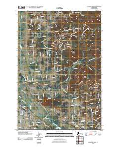 Lacamas Creek 2011 topographic map thumbnail