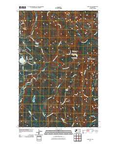 Lake Joy 2011 topographic map thumbnail