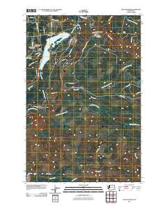 Lake Kapowsin 2011 topographic map thumbnail