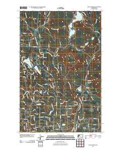 Lake Roesiger 2011 topographic map thumbnail