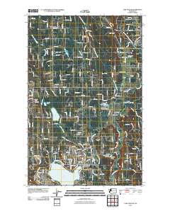 Lake Stevens 2011 topographic map thumbnail