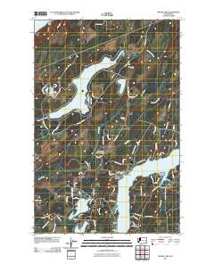 Mason Lake 2011 topographic map thumbnail